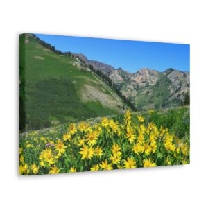 Blossoms Canvas Wrap