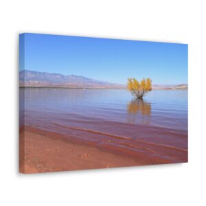 Resilience Canvas Wrap