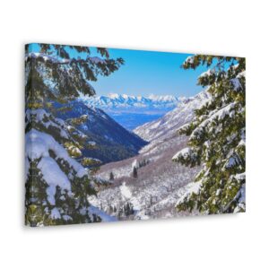 Wintertime Canvas Wrap